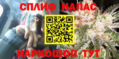 крисы Кунгур