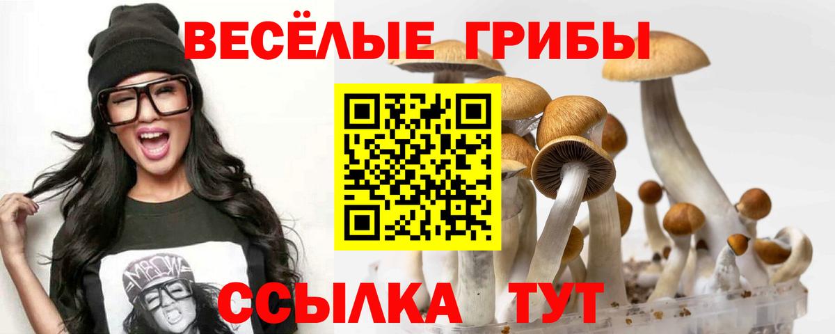 Псилоцибиновые грибы Cubensis  Вход с VPN  Ишим 