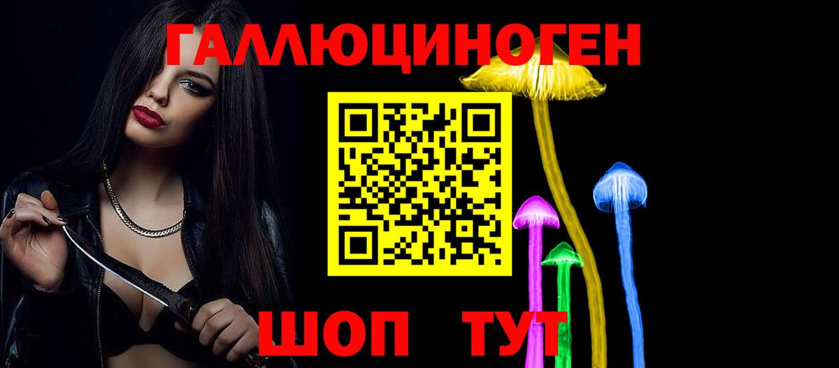 Псилоцибиновые грибы Cubensis Ишим